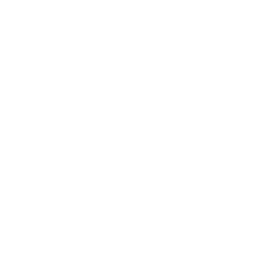Facilitators icon